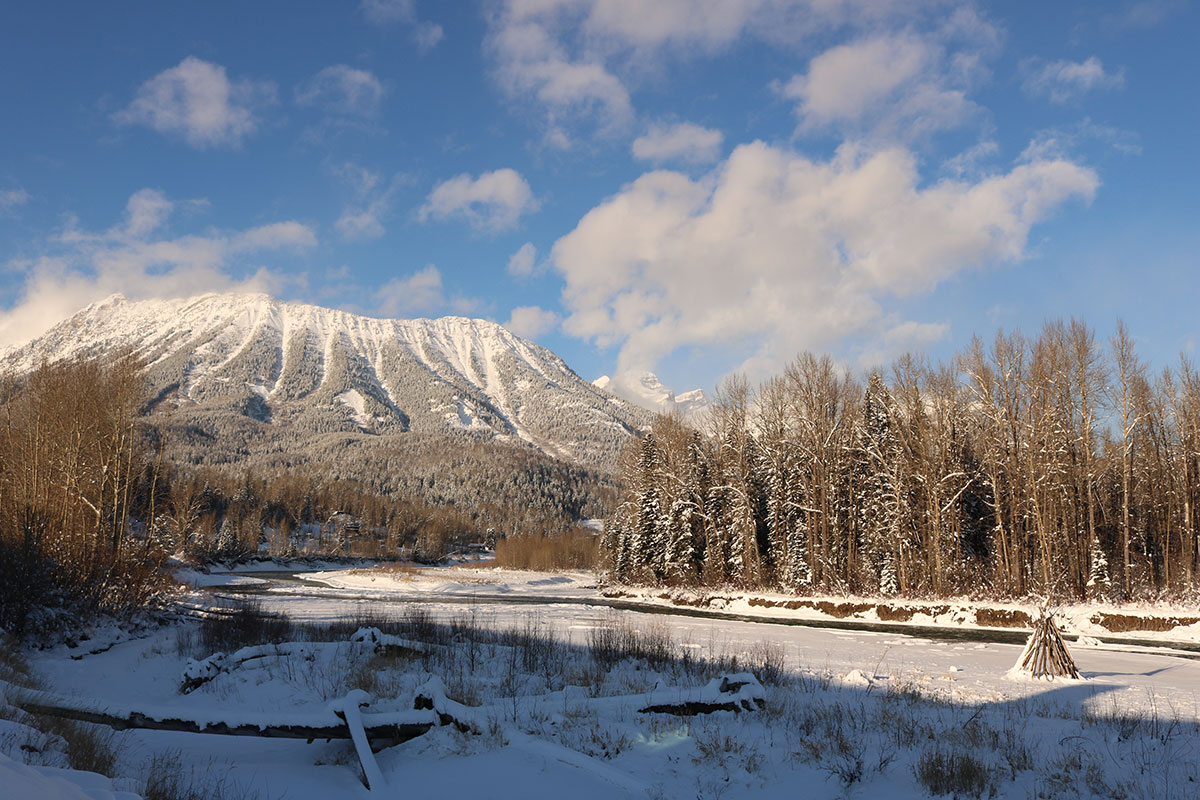 At the foot of the Rocky Mountains on a winter day, with a view of the snow capped summit, a mountain slope carpeted with pine and spruce trees and barren tree branches stretching upward toward a blue sky.
