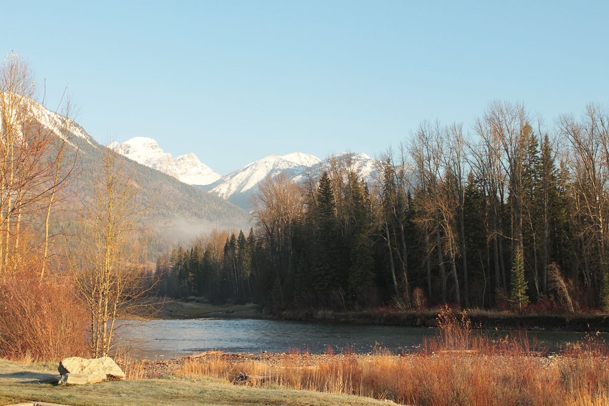 Barren brown trees interspersed among dark green conifer trees line the banks of the Elk River on an autumn day in Fernie, BC with the snow topped Rocky Mountains far off in the distance.