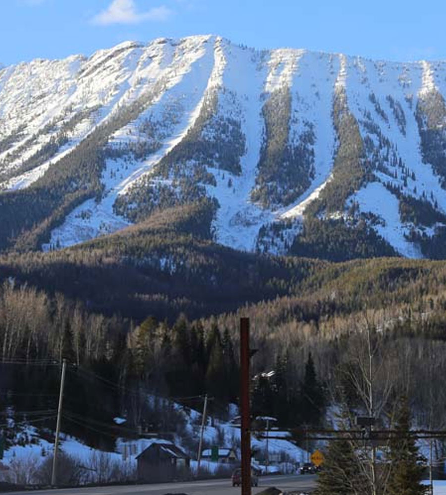 Looking skyward toward the snow covered surface of the Rocky Mountains in Fernie, BC, with a forest of dark green pine and spruce trees nestled at the base.