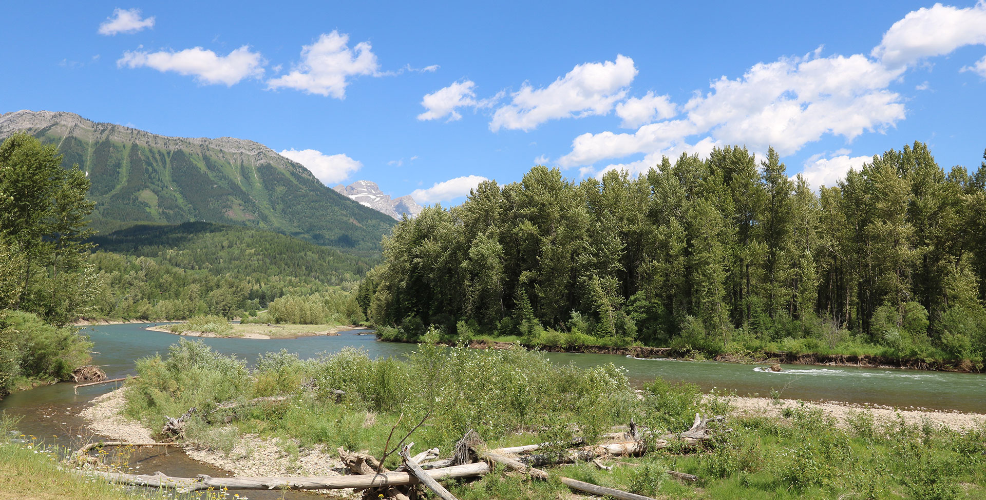 In the foreground, tree trunks are arranged as a make-shift bridge over a stream at the banks of the Elk River with a view of the lush tall trees and the green slopes of the Rocky Mountains on the opposite bank.